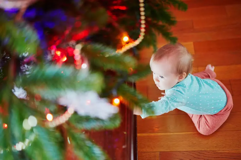 toddler looking at Christmas tree, trying to touch it.