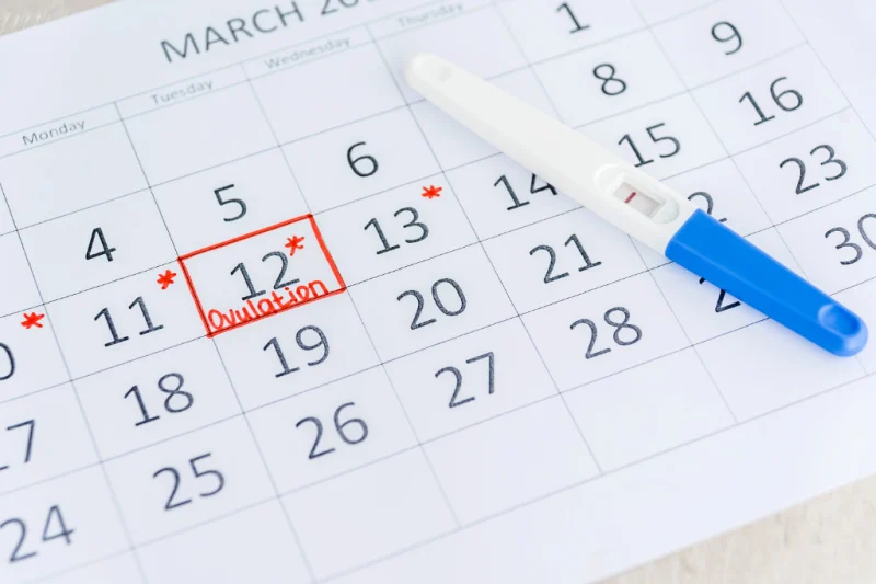calendar charting ovulation for woman trying to conceive
