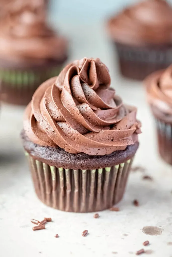 easy chocolate cupcake with chocolate frosting.